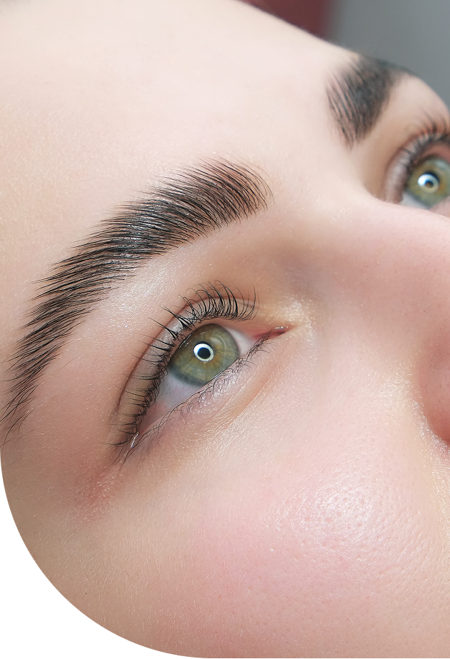 BROW FOCUS